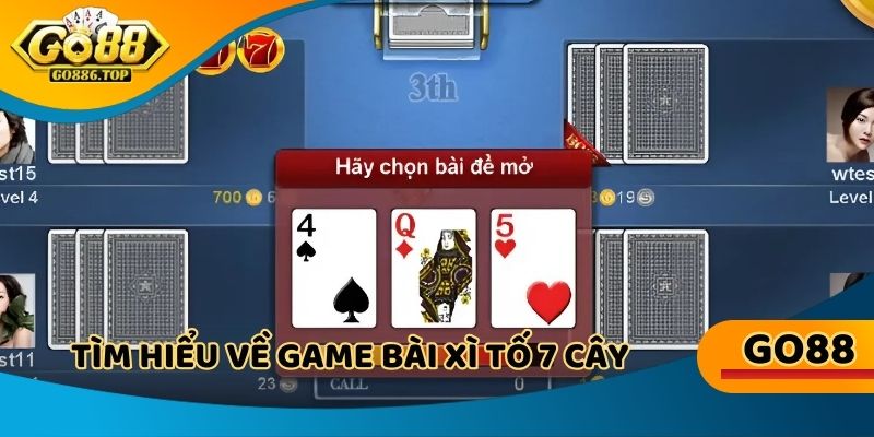 Giới thiệu chung về hình thức bài xì tố 7 cây