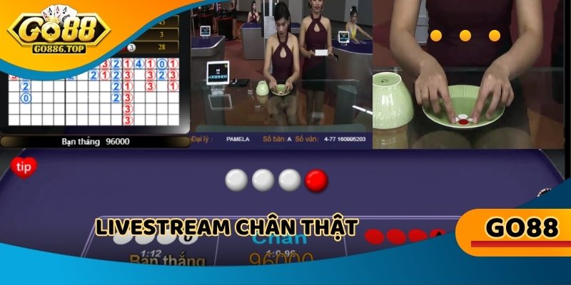 Livestream chân thật, tiền thưởng liền tay, rinh ngay lộc lá