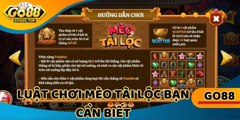 Luật chơi mèo tài lộc bạn nên biết khi tham gia