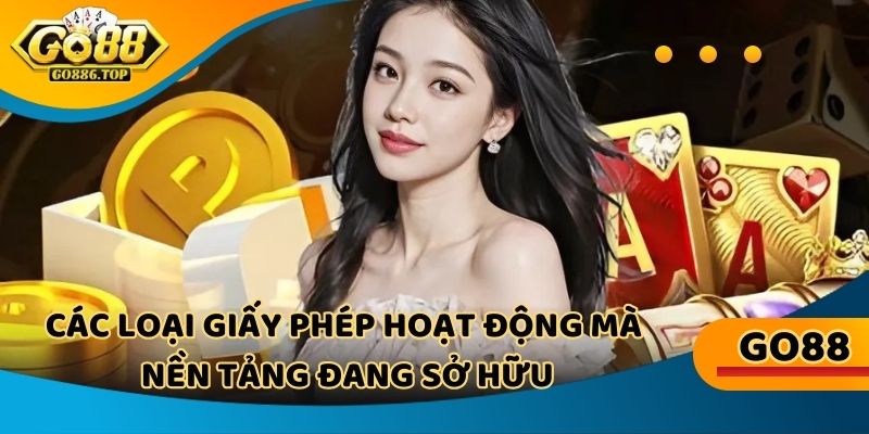 Tổng hợp danh mục giấy phép hoạt động hợp pháp